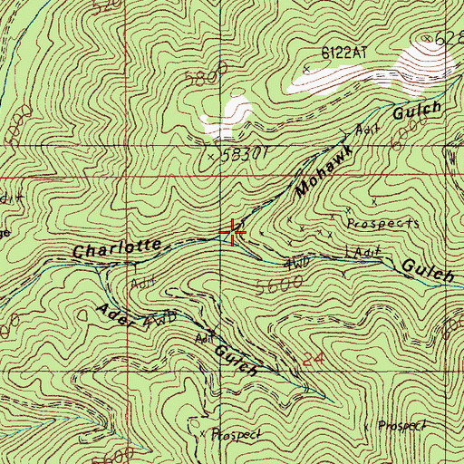 Topographic Map of Mohawk Gulch, ID
