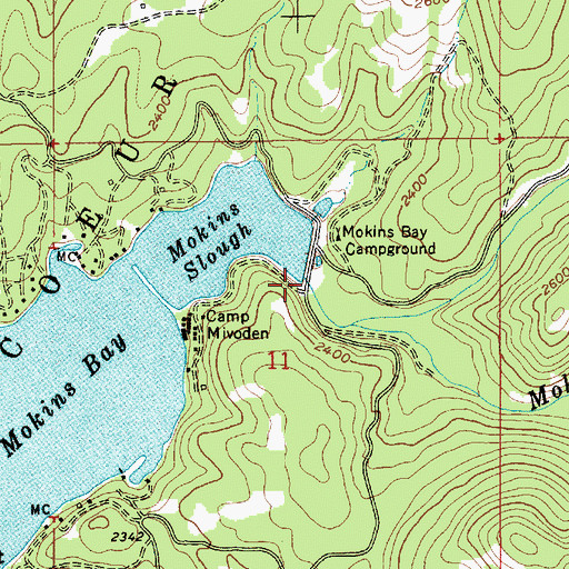 Topographic Map of Mokins Creek, ID