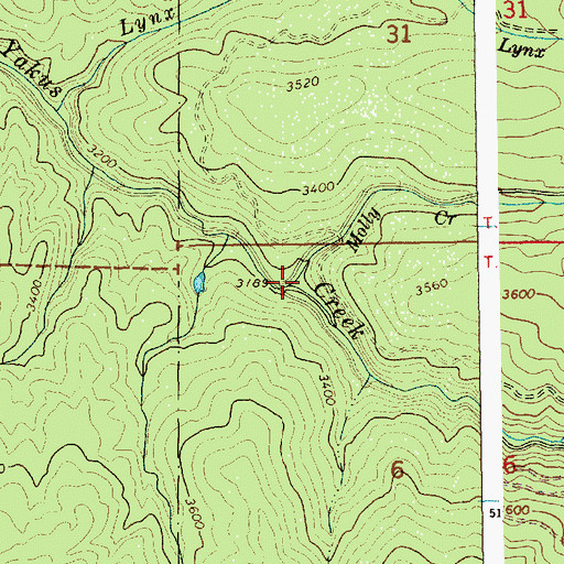 Topographic Map of Molly Creek, ID