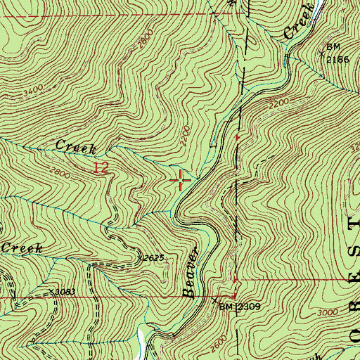 Topographic Map of Montana Creek, ID