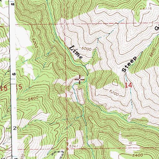Topographic Map of Moores Creek, ID