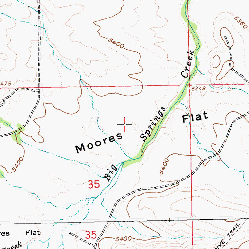 Topographic Map of Moores Flat, ID