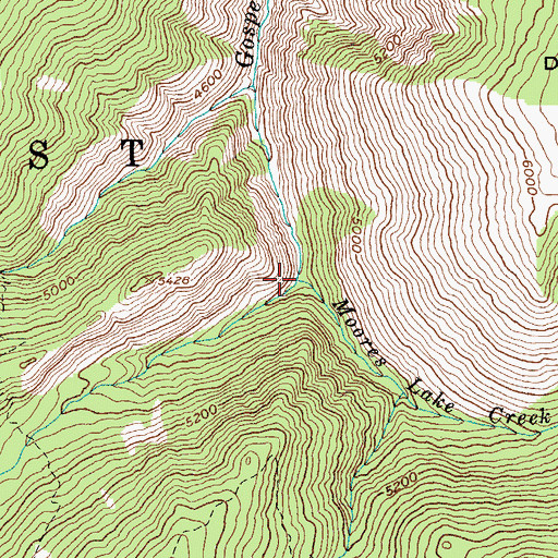 Topographic Map of Moores Lake Creek, ID