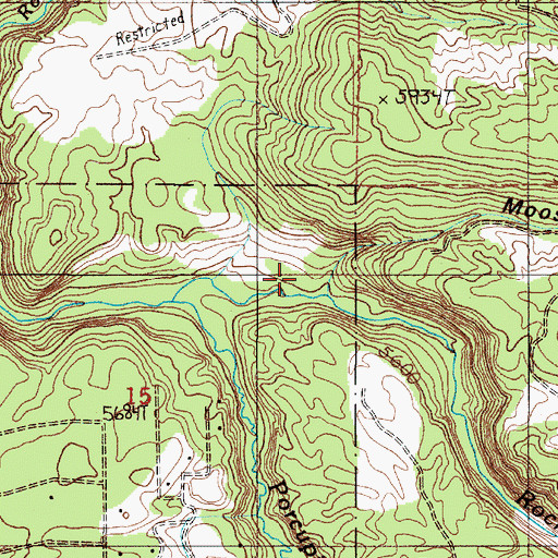 Topographic Map of Moose Draw, ID