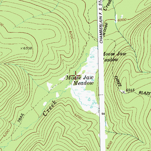 Topographic Map of Moose Jaw Meadow, ID