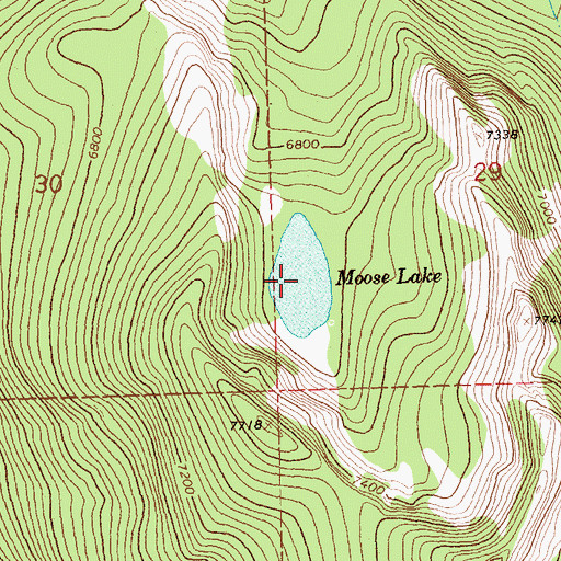 Topographic Map of Moose Lake, ID