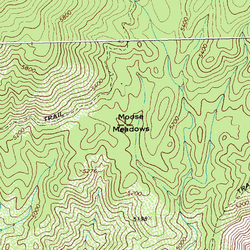 Topographic Map of Moose Meadows, ID