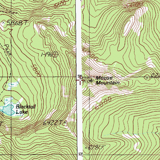 Topographic Map of Moose Mountain, ID
