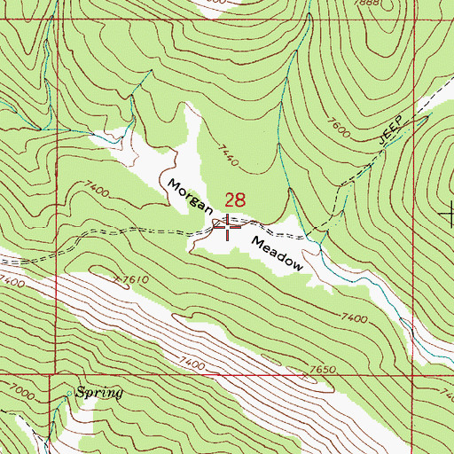 Topographic Map of Morgan Meadow, ID
