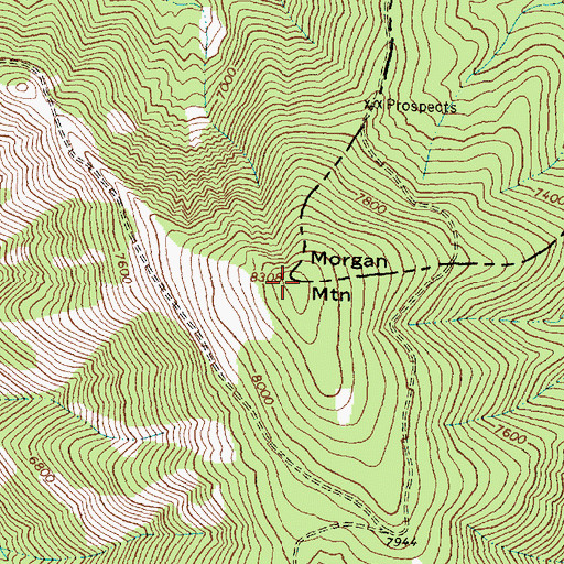 Topographic Map of Morgan Mountain, ID