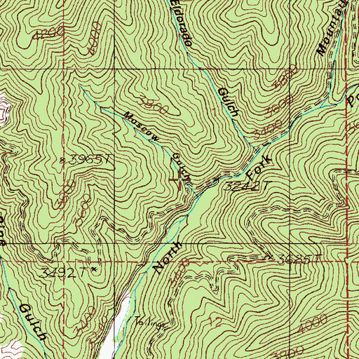 Topographic Map of Moscow Gulch, ID