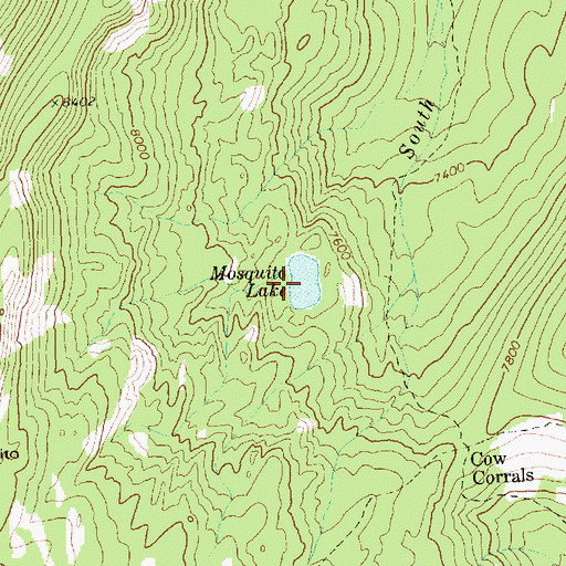 Topographic Map of Mosquito Lake, ID