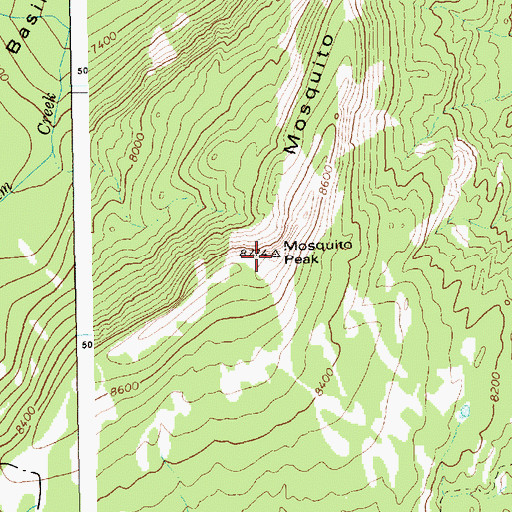 Topographic Map of Mosquito Peak, ID