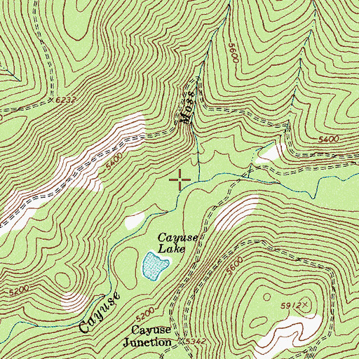 Topographic Map of Moss Creek, ID