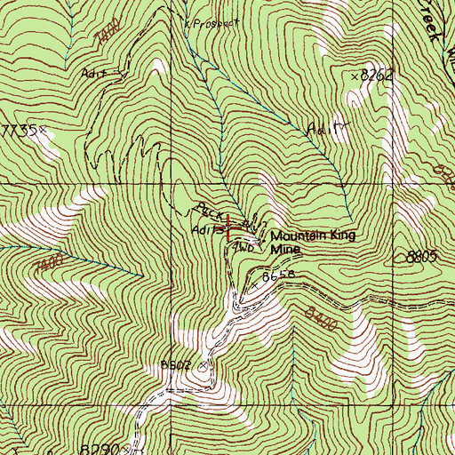 Topographic Map of Mountain King Mine, ID