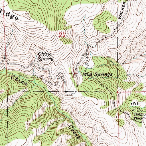 Topographic Map of Mud Springs, ID