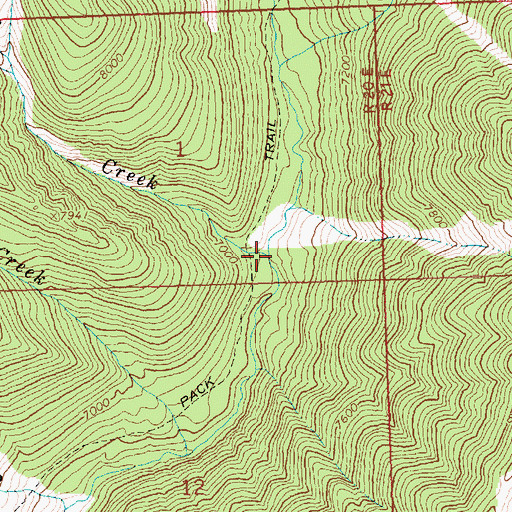Topographic Map of Mud Springs Creek, ID