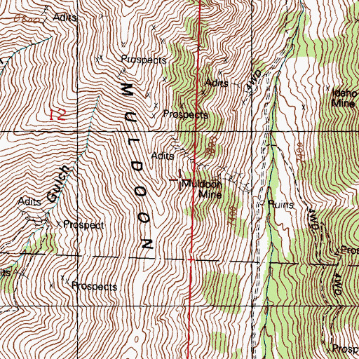 Topographic Map of Muldoon Mine, ID
