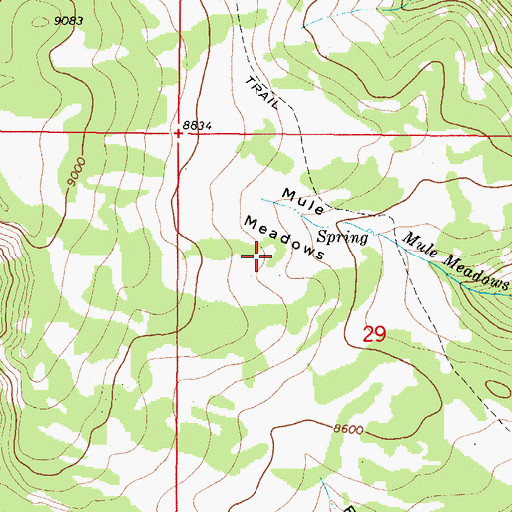 Topographic Map of Mule Meadows, ID