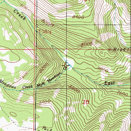 Topographic Map of Mule Meadows Creek, ID