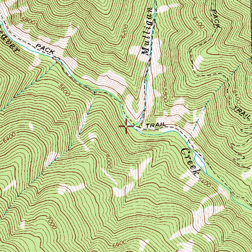 Topographic Map of Mulligan Creek, ID