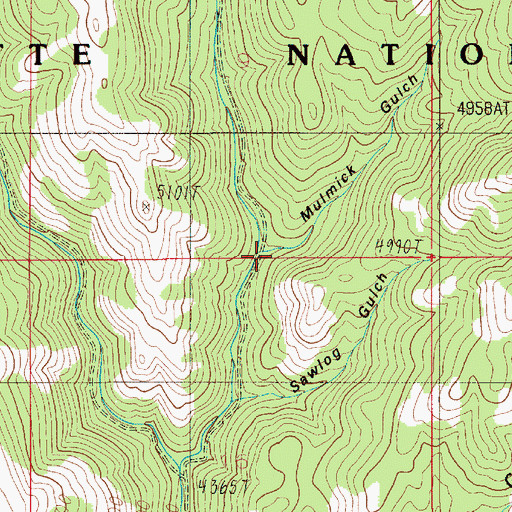 Topographic Map of Mulmick Gulch, ID