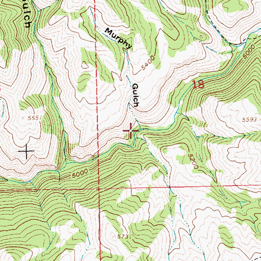 Topographic Map of Murphy Gulch, ID