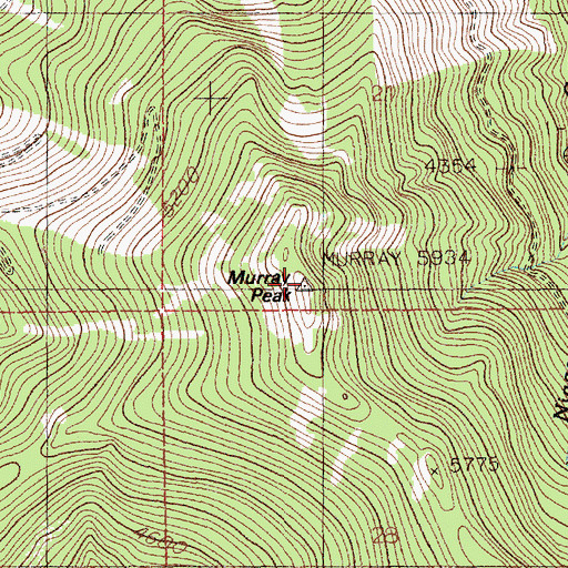 Topographic Map of Murray Peak, ID