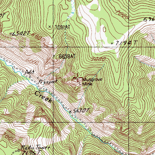 Topographic Map of Musgrove Mine, ID