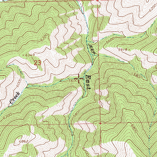 Topographic Map of Myrtle Creek, ID