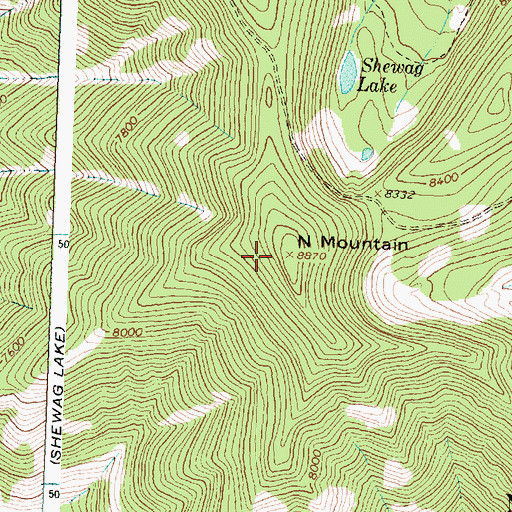 Topographic Map of N Mountain, ID
