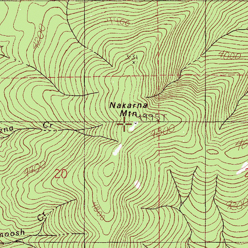 Topographic Map of Nakarna Mountain, ID