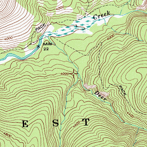 Topographic Map of Negro Creek, ID