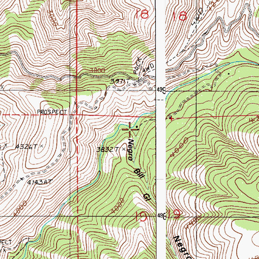 Topographic Map of Negro Bill Gulch, ID