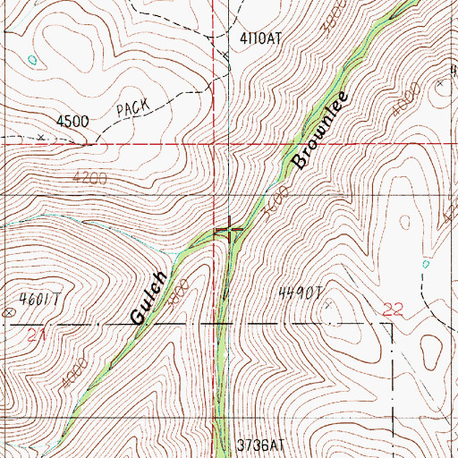 Topographic Map of Neil Valley Gulch, ID