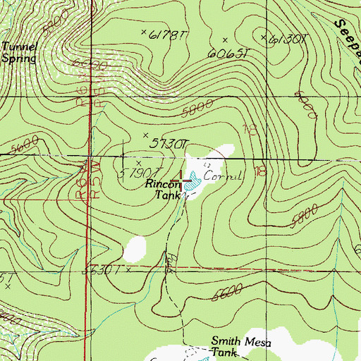 Topographic Map of Rincon Tank, AZ