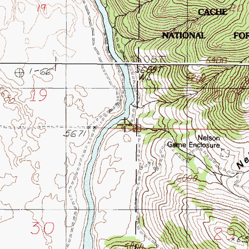 Topographic Map of Nelson Creek, ID