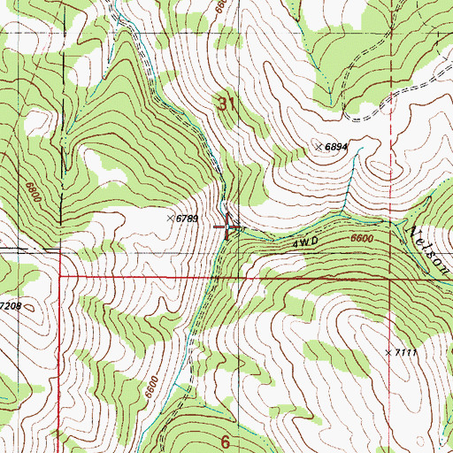 Topographic Map of Nelson Creek, ID