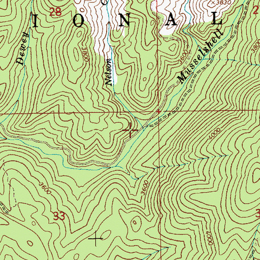 Topographic Map of Nelson Creek, ID