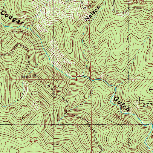 Topographic Map of Nelson Creek, ID