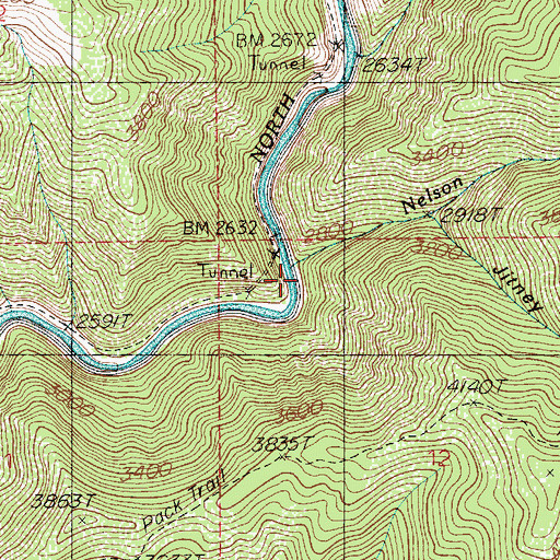 Topographic Map of Nelson Creek, ID