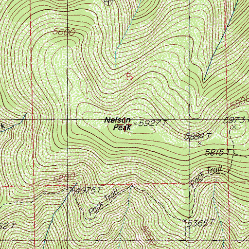 Topographic Map of Nelson Peak, ID