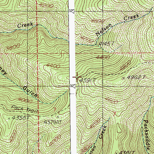 Topographic Map of Nelson Peak Trail, ID