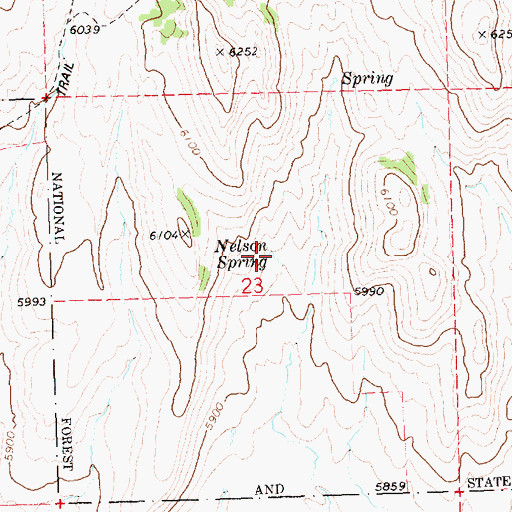 Topographic Map of Nelson Spring, ID