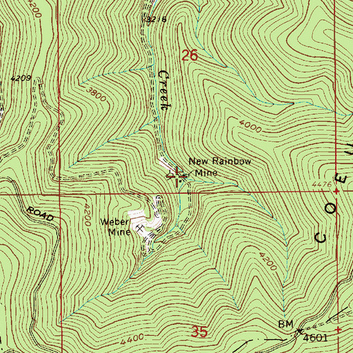 Topographic Map of New Rainbow Mine, ID