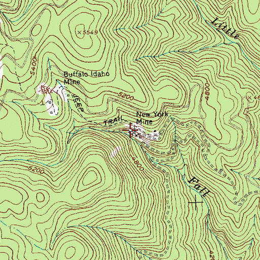 Topographic Map of New York Mine, ID