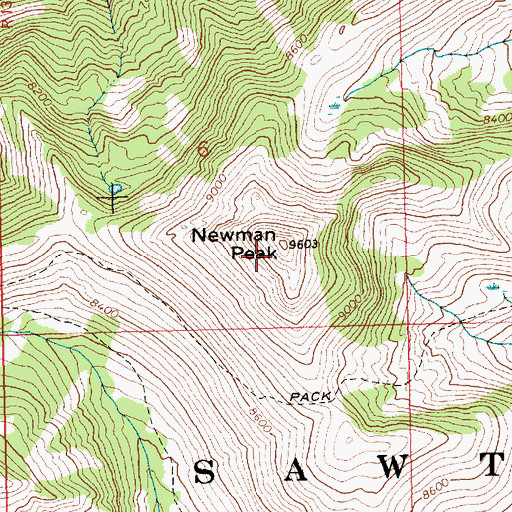 Topographic Map of Newman Peak, ID