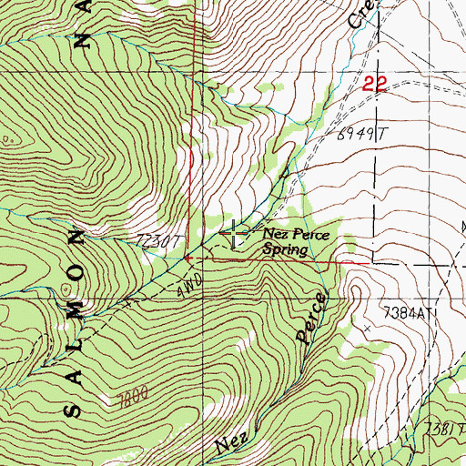 Topographic Map of Nez Perce Spring, ID