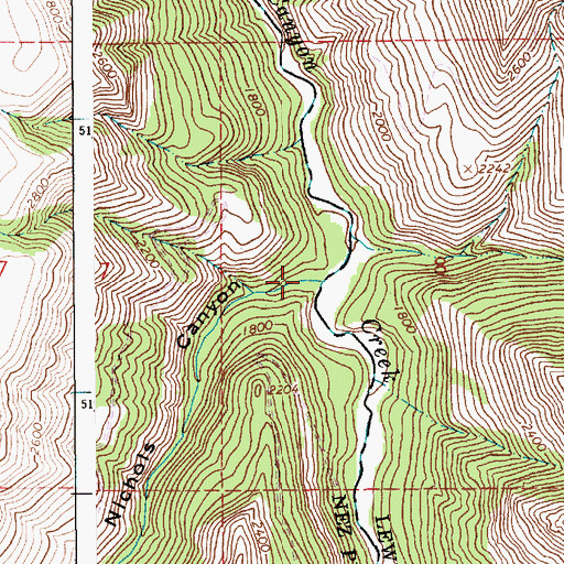 Topographic Map of Nichols Canyon, ID
