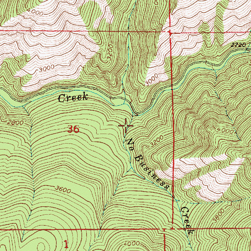 Topographic Map of No Business Creek, ID